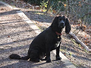 January 2017 Photo 12